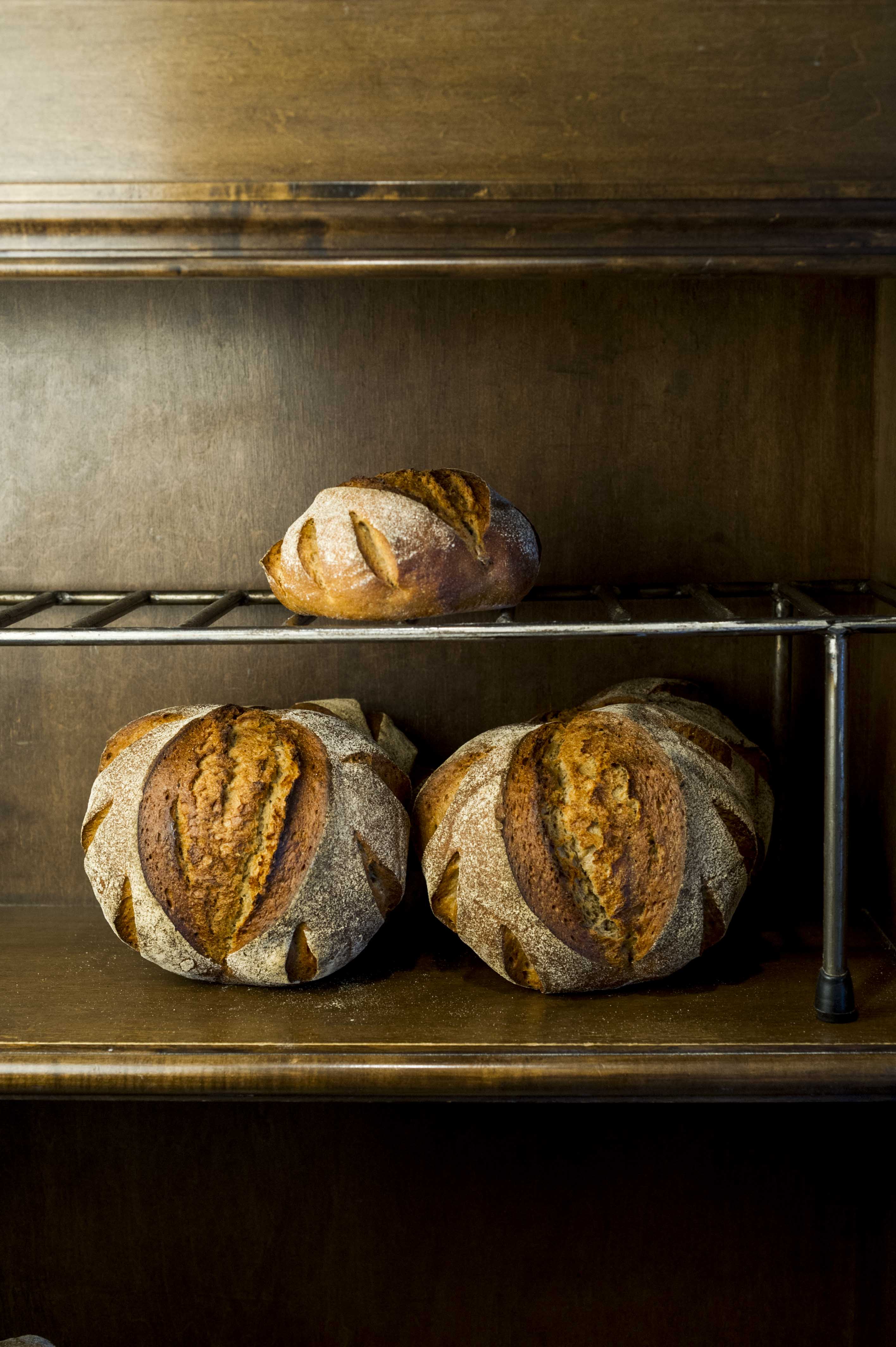 Bread&Circus 粉からおこす自家製天然酵母のパンづくり